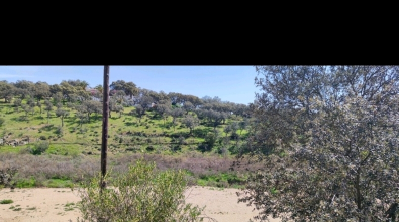Córdoba - Cerro Muriano - 3000m2
