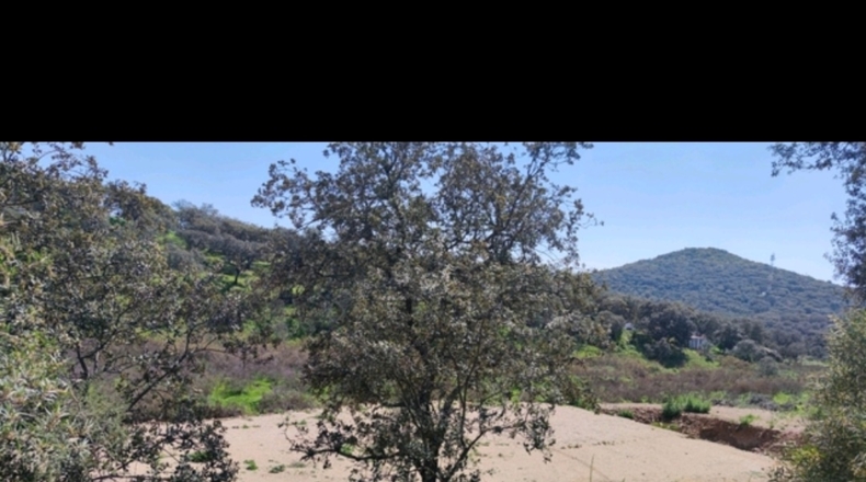Córdoba - Cerro Muriano - 3000m2