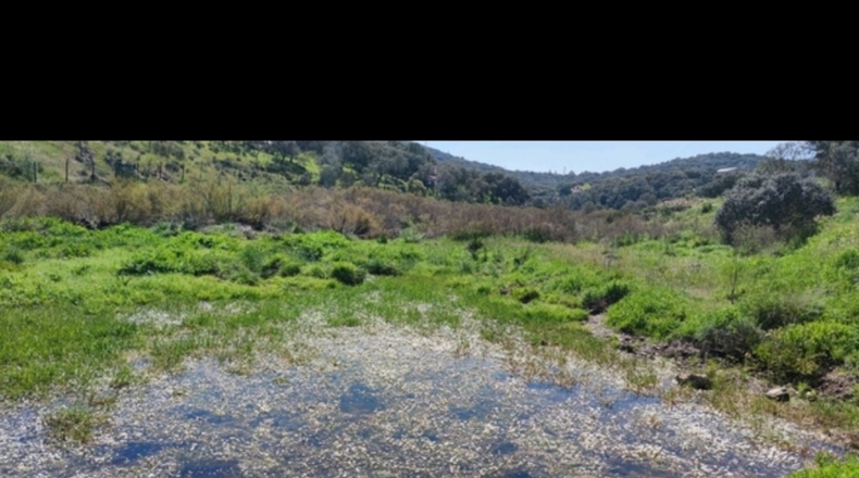 Córdoba - Cerro Muriano - 3000m2