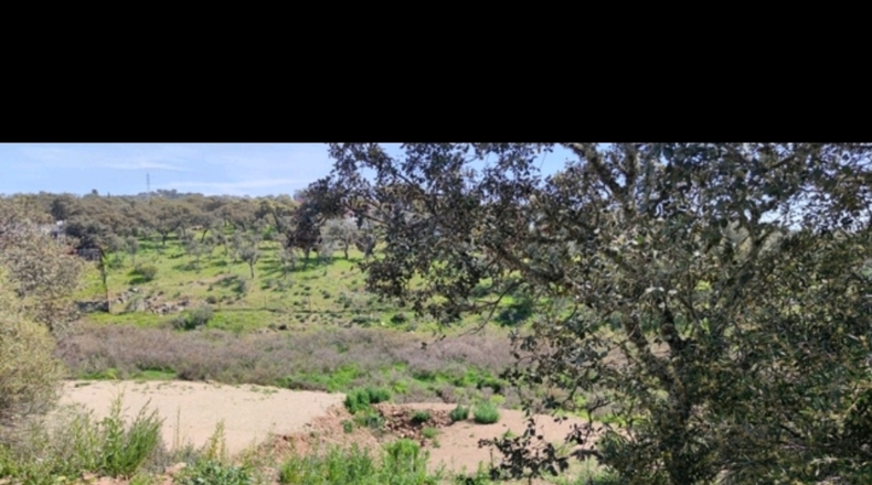 Córdoba - Cerro Muriano - 3000m2