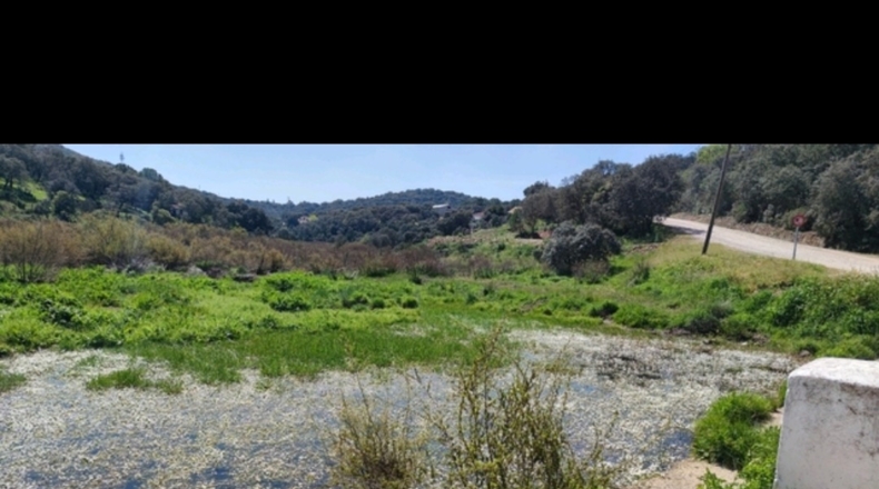 Córdoba - Cerro Muriano - 3000m2