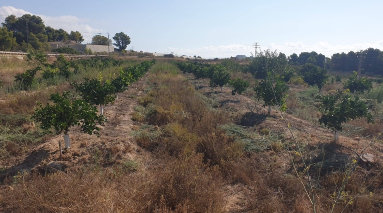 Alicante - Alfaz del Pi - 33000m2
