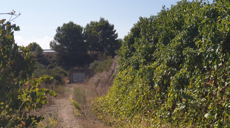 Alicante - Alfaz del Pi - 33000m2