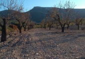 Finca rústica en venda a la Polígono 18, Castalla, ref.: TR24383 foto