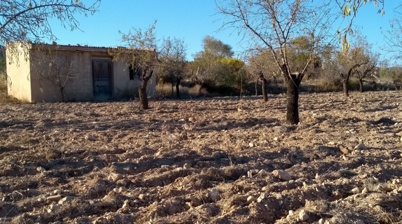 Alicante - Castalla - 38000m2