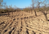 Finca rústica en venda a la Polígono 18, Castalla, ref.: TR24383 foto