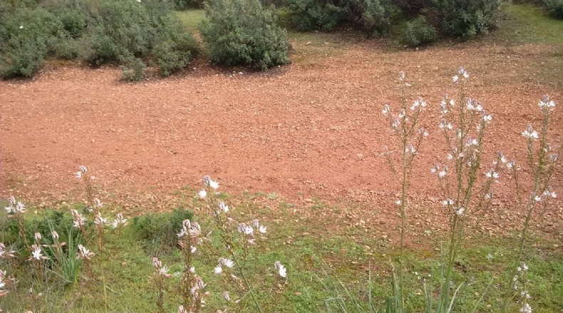 Córdoba - Córdoba - 67000m2