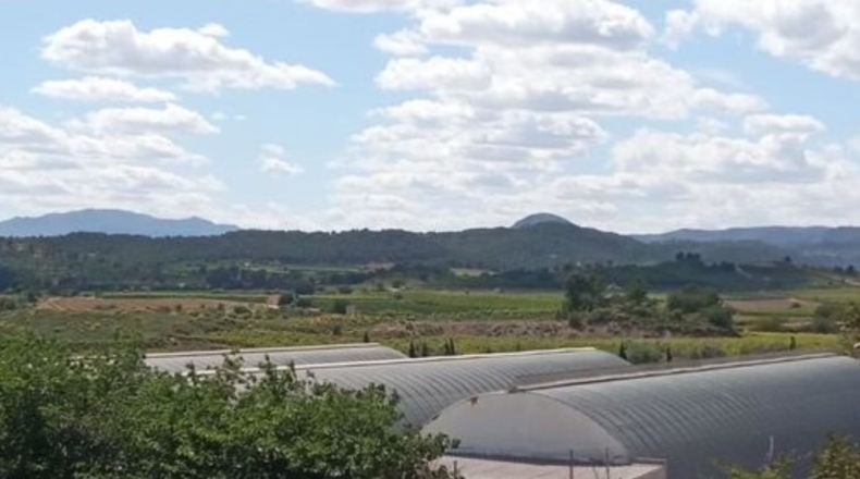 Valencia - Turís - 9600m2