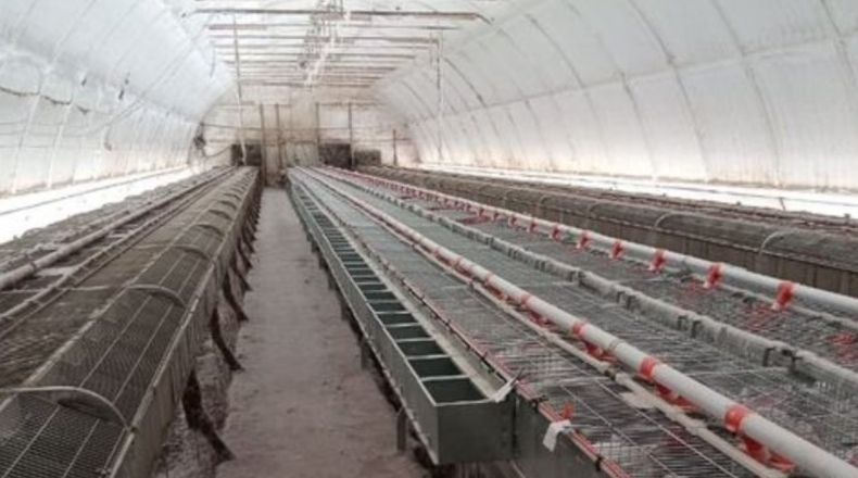 Valencia - Turís - 9600m2