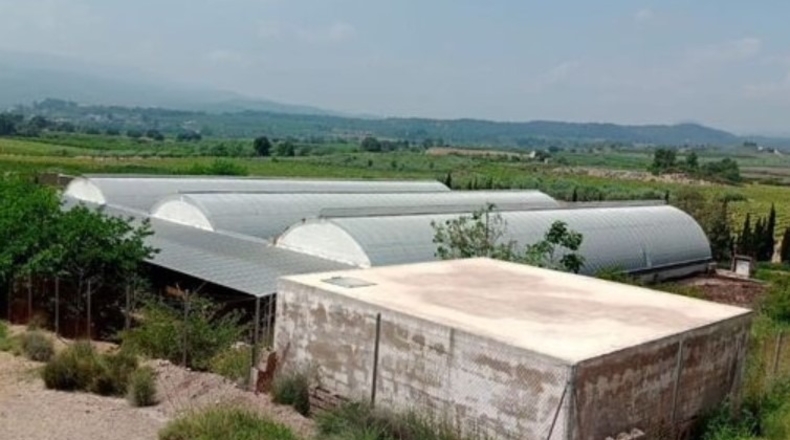 Valencia - Turís - 9600m2