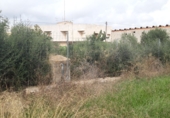 Parcel·la urbanitzable en venda a la Carrer d'Alcalà de Xivert, Benicarló, ref.: TR24655 foto