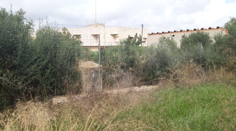 Castellón - Benicarló - 320m2