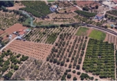 Terreny no urbanitzable en venda a la Camí de la Glòria, Ondara, ref.: TR24658 foto
