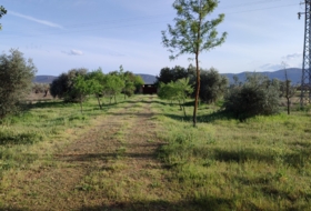 Piedrabuena 5500&nbsp;m² 