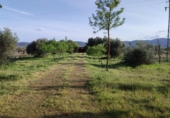 Xalet independent amb terreny en venda a la CR-7211, Piedrabuena, ref.: TR24822 foto