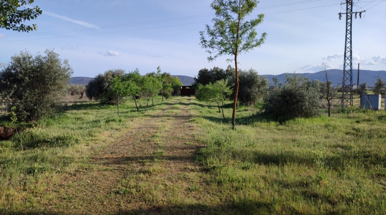 Ciudad Real - Piedrabuena - 6000m2