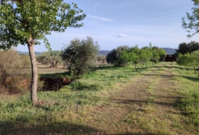Piedrabuena 5500&nbsp;m² 