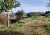 Xalet independent amb terreny en venda a la CR-7211, Piedrabuena, ref.: TR24822 foto