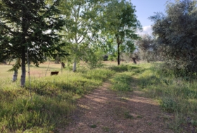 Piedrabuena 5500&nbsp;m² 