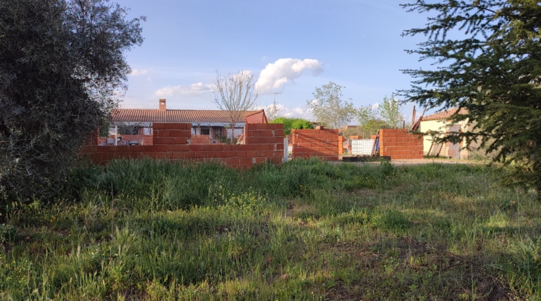 Ciudad Real - Piedrabuena - 6000m2