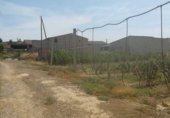 Granja en venta en la Carrer de les Eres, Massalcoreig, ref: TR24806 foto