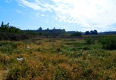 Granja en venta en la Carrer de les Eres, Massalcoreig, ref: TR24806 foto