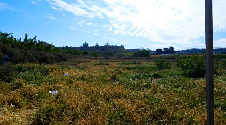 Lérida - Massalcoreig - 23350m2