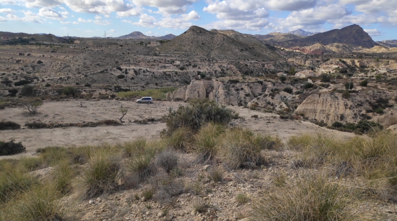 Alicante - Muchamiel - 36000m2