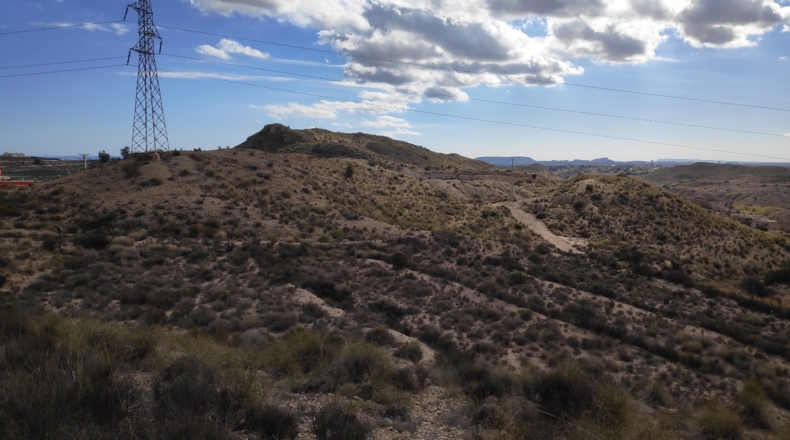 Alicante - Muchamiel - 36000m2