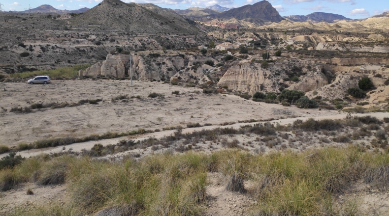 Alicante - Muchamiel - 36000m2