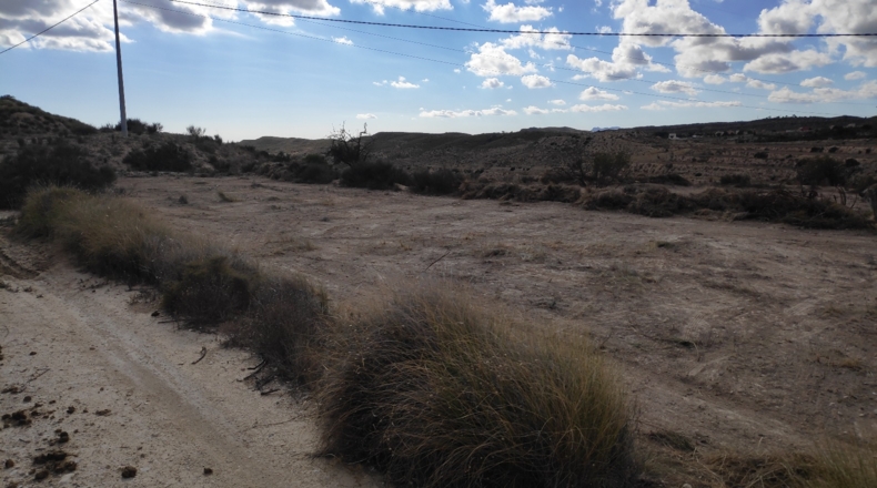 Alicante - Muchamiel - 36000m2
