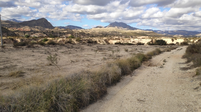Alicante - Muchamiel - 36000m2