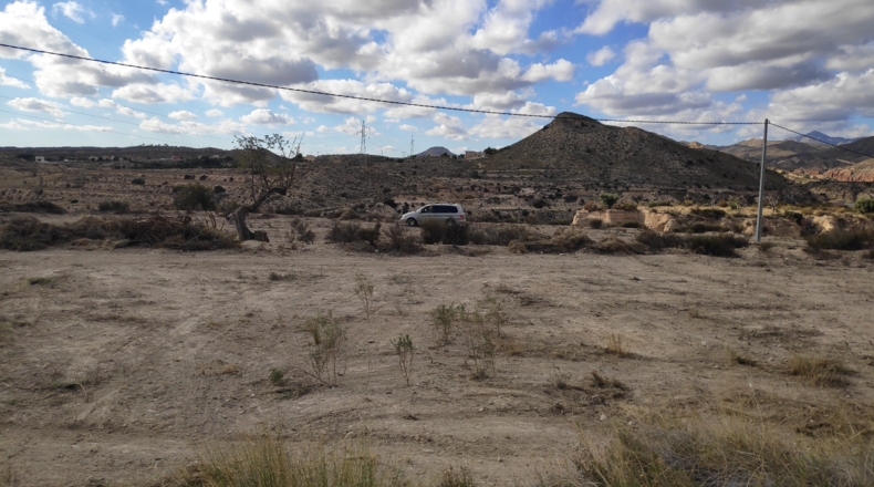 Alicante - Muchamiel - 36000m2