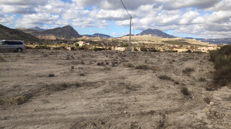 Alicante - Muchamiel - 36000m2