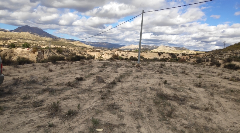 Alicante - Muchamiel - 36000m2