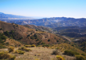 Земля, подлежащая урбанизации на продажу у города Vélez-Málaga Фото