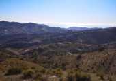 Земля, подлежащая урбанизации на продажу у города Vélez-Málaga Фото