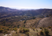 Земля, подлежащая урбанизации на продажу у города Vélez-Málaga Фото