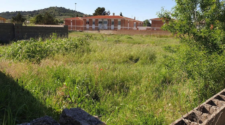 Córdoba - Priego de Córdoba - 2800m2