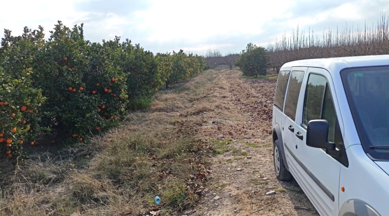 Valencia - Guadassuar - 6400m2