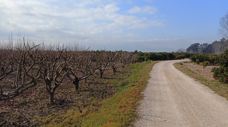 Valencia - Guadassuar - 6400m2