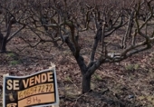 Non-developable land for sale on CV-512, Guadassuar, ref: TR24930 photo
