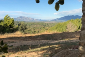 Costur 483000&nbsp;m² 