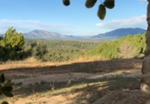Finca rústica en venta en la Mas de Marco, Costur, ref: TR24953 foto