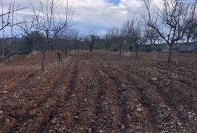 Costur 483000&nbsp;m² 