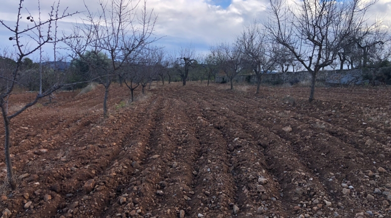 Castellón - Costur - 460000m2