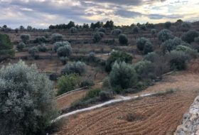 Costur 483000&nbsp;m² 
