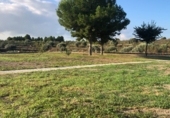 Finca rústica en venta en la Mas de Marco, Costur, ref: TR24953 foto