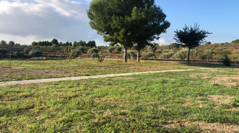 Castellón - Costur - 460000m2