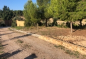 Finca rústica en venta en la Mas de Marco, Costur, ref: TR24953 foto